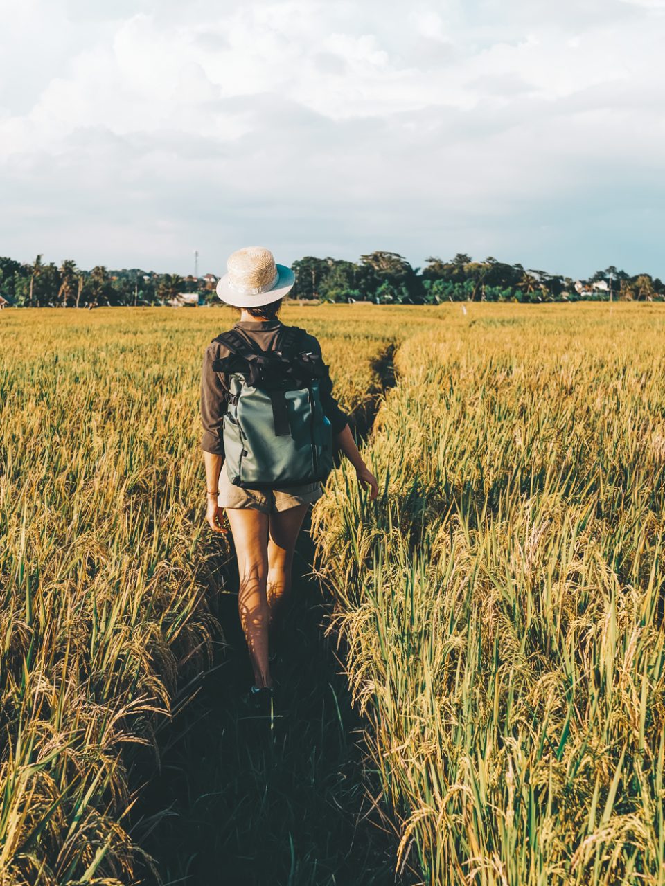 viajar solo por tu cuenta