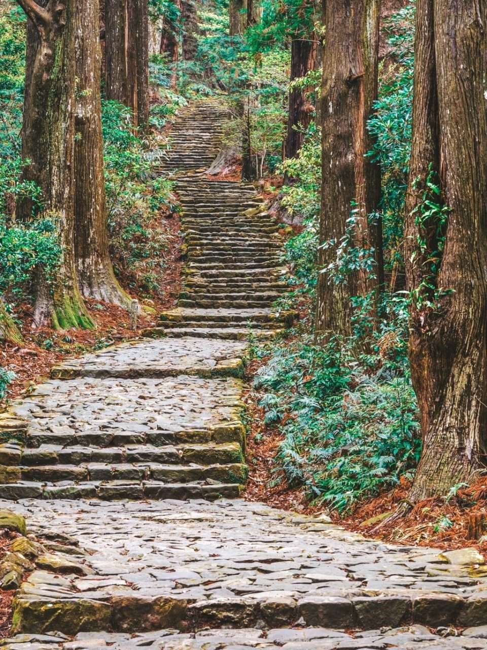 Wakayama, Japon