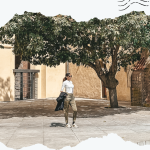 Blog de viajes