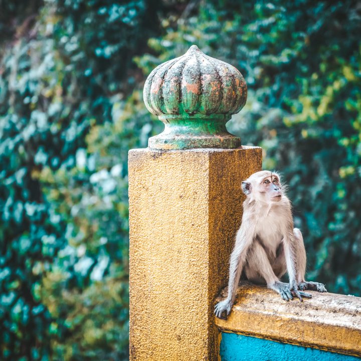 Mejores cosas que ver en Kuala Lumpur